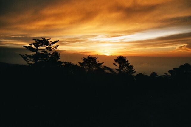 Singalila trek