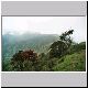 Singalila trek